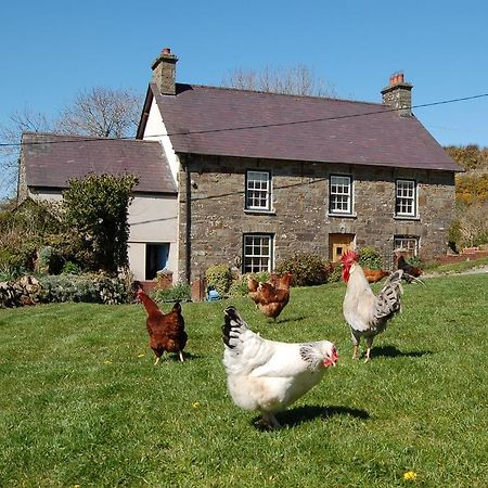 Nantgwynfaen Organic Farm Wales Βίλα Llandysul Εξωτερικό φωτογραφία