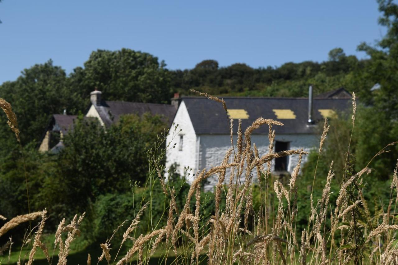 Nantgwynfaen Organic Farm Wales Βίλα Llandysul Εξωτερικό φωτογραφία