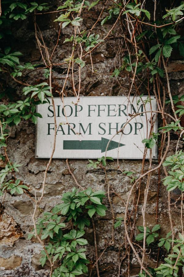 Nantgwynfaen Organic Farm Wales Βίλα Llandysul Εξωτερικό φωτογραφία