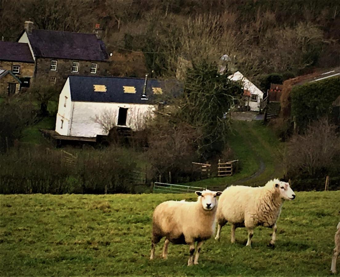 Nantgwynfaen Organic Farm Wales Βίλα Llandysul Εξωτερικό φωτογραφία