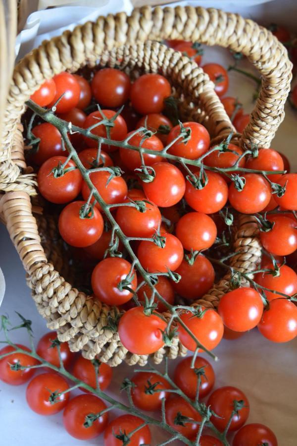 Nantgwynfaen Organic Farm Wales Βίλα Llandysul Εξωτερικό φωτογραφία