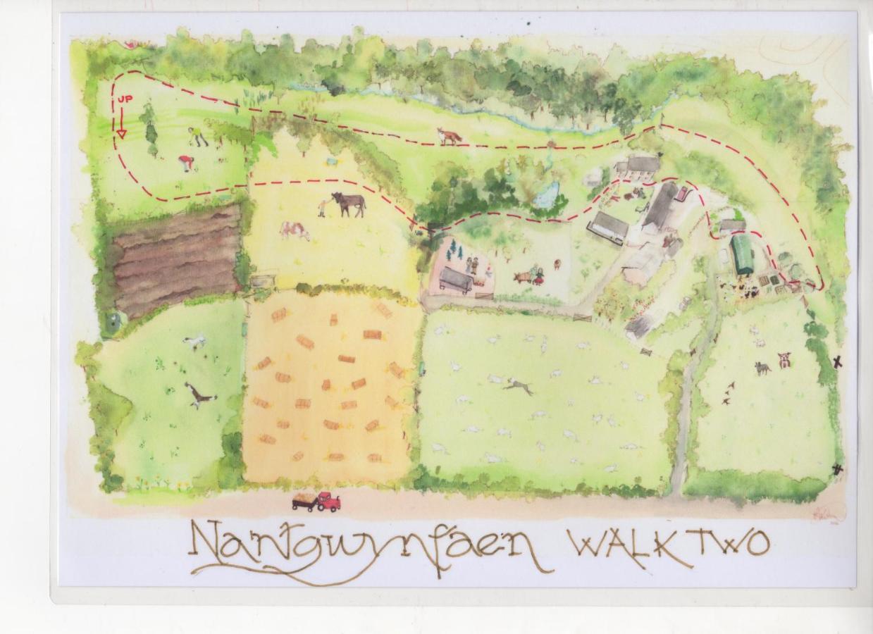 Nantgwynfaen Organic Farm Wales Βίλα Llandysul Εξωτερικό φωτογραφία