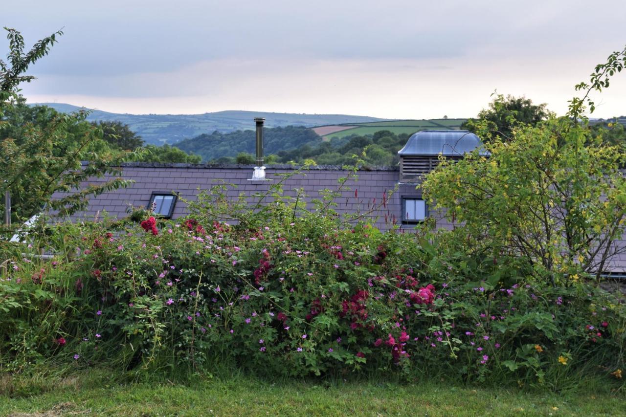 Nantgwynfaen Organic Farm Wales Βίλα Llandysul Εξωτερικό φωτογραφία