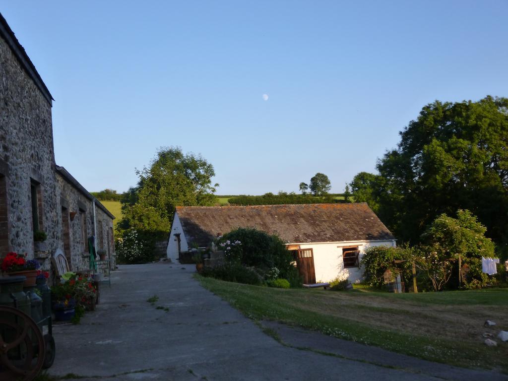 Nantgwynfaen Organic Farm Wales Βίλα Llandysul Εξωτερικό φωτογραφία